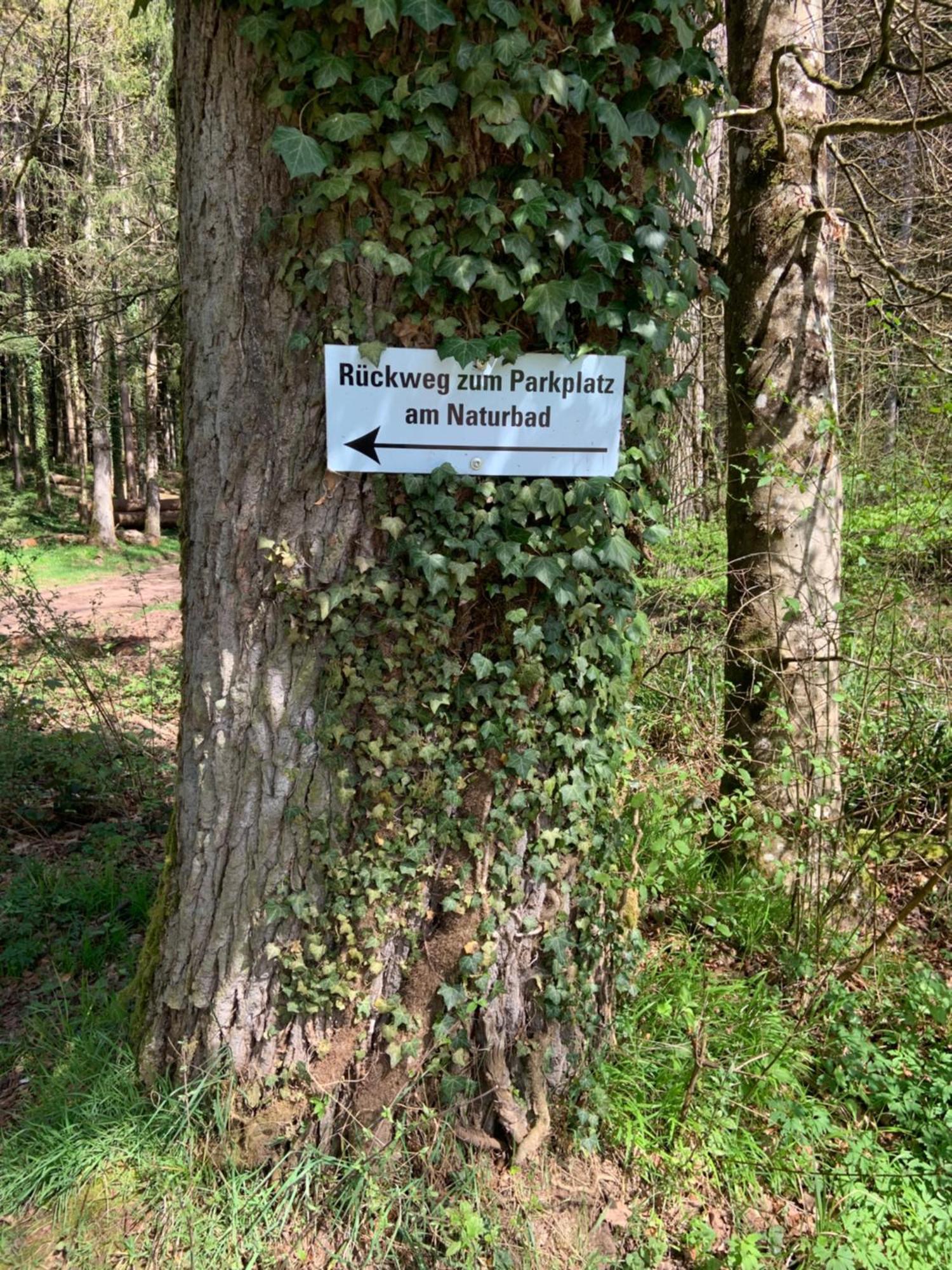 Appartement Sulzbachtal In Lahr, Naehe Europapark, Naehe Rulantica Lahr  Bagian luar foto