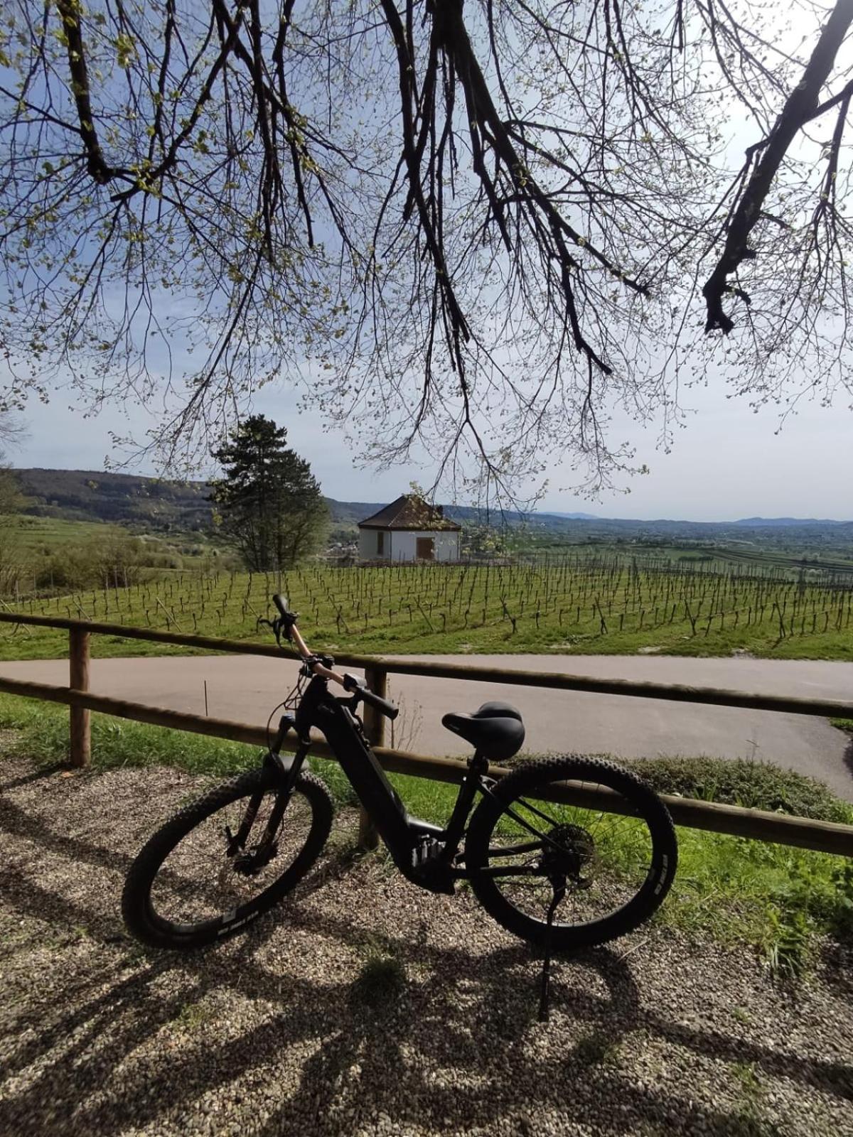 Appartement Sulzbachtal In Lahr, Naehe Europapark, Naehe Rulantica Lahr  Bagian luar foto